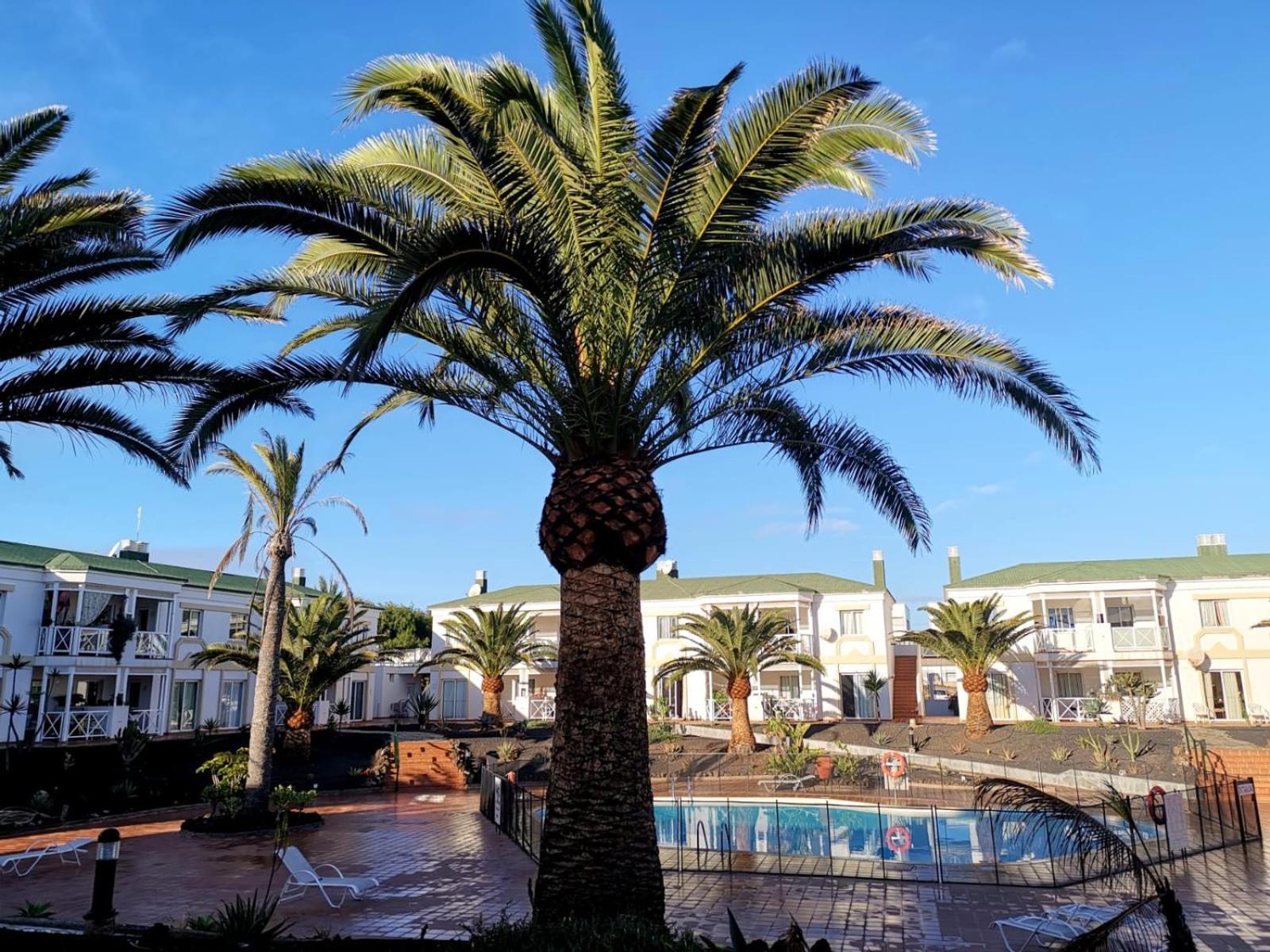Piccola Oasi Apartment Corralejo Phòng bức ảnh
